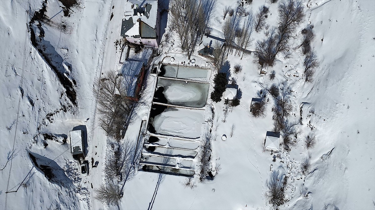 Bayburt'ta, hava sıcaklığının sıfırın altında 20 dereceye düştüğü 2 bin rakımlı dağ köylerinde...