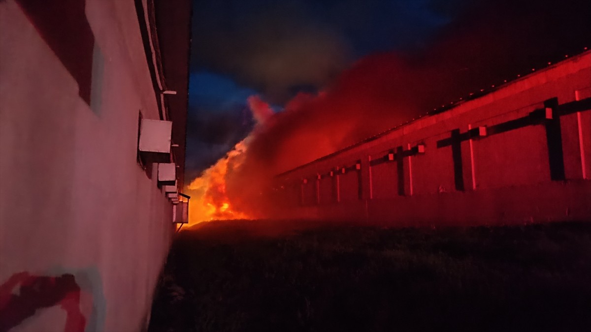 Bilecik'in Pazaryeri ilçesinde tavuk çiftliğinde çıkan yangın ekiplerin müdahalesiyle...