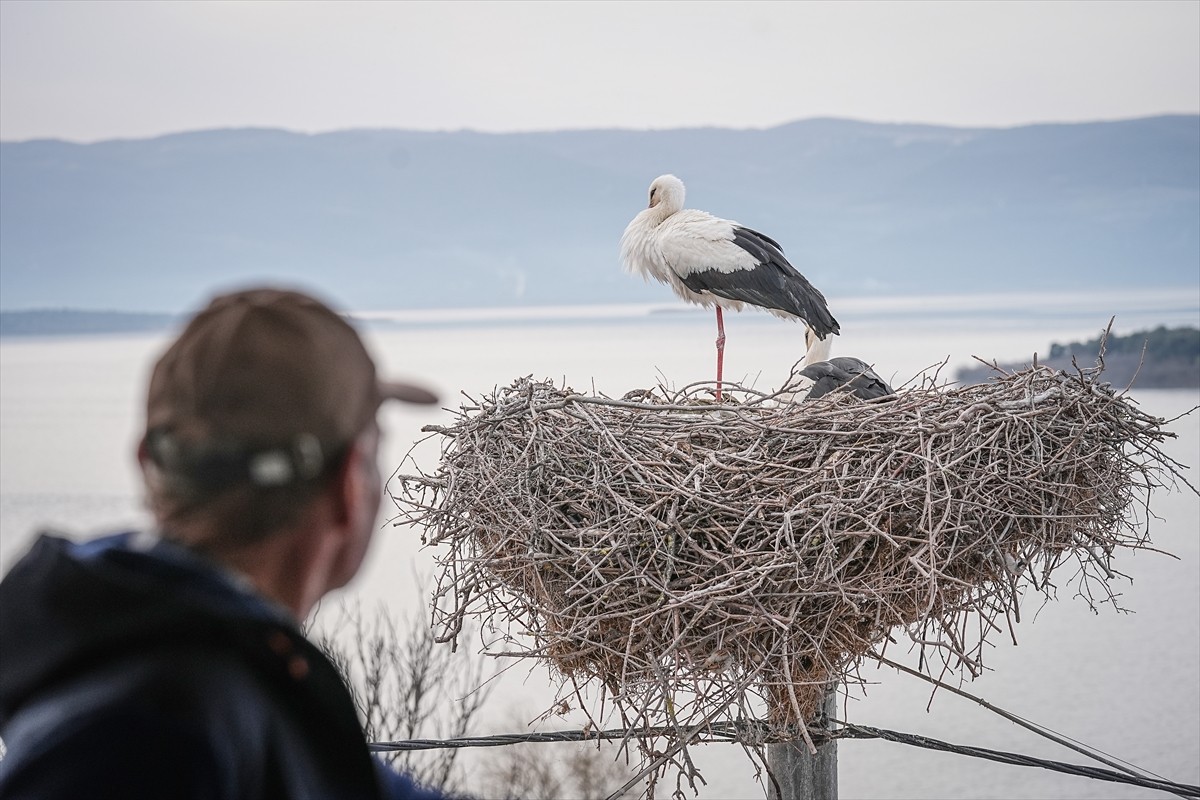 Bursa'nın Karacabey ilçesinde, Uluabat Gölü'nün kıyısındaki kırsal Eskikaraağaç Mahallesi'nin...