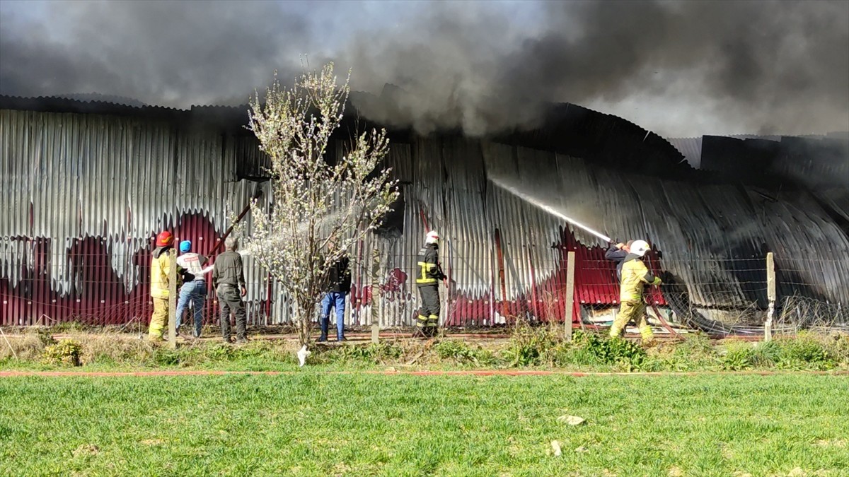 Bursa'nın Orhangazi ilçesinde gül serasında çıkan yangın hasara neden oldu.
