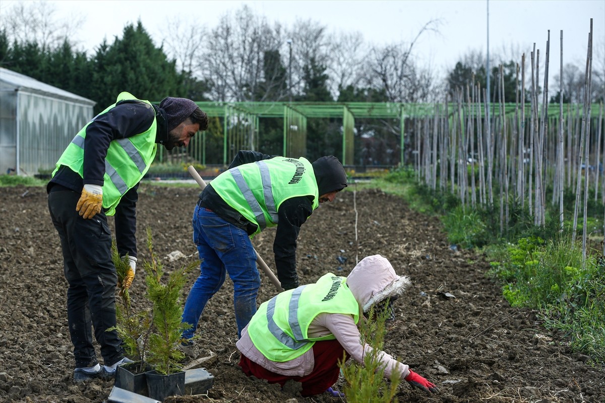 Bursa Orman Bölge Müdürlüğüne bağlı 61 hektar alana 1960 yılında kurulan 2 fidanlıkta, yılda 2...