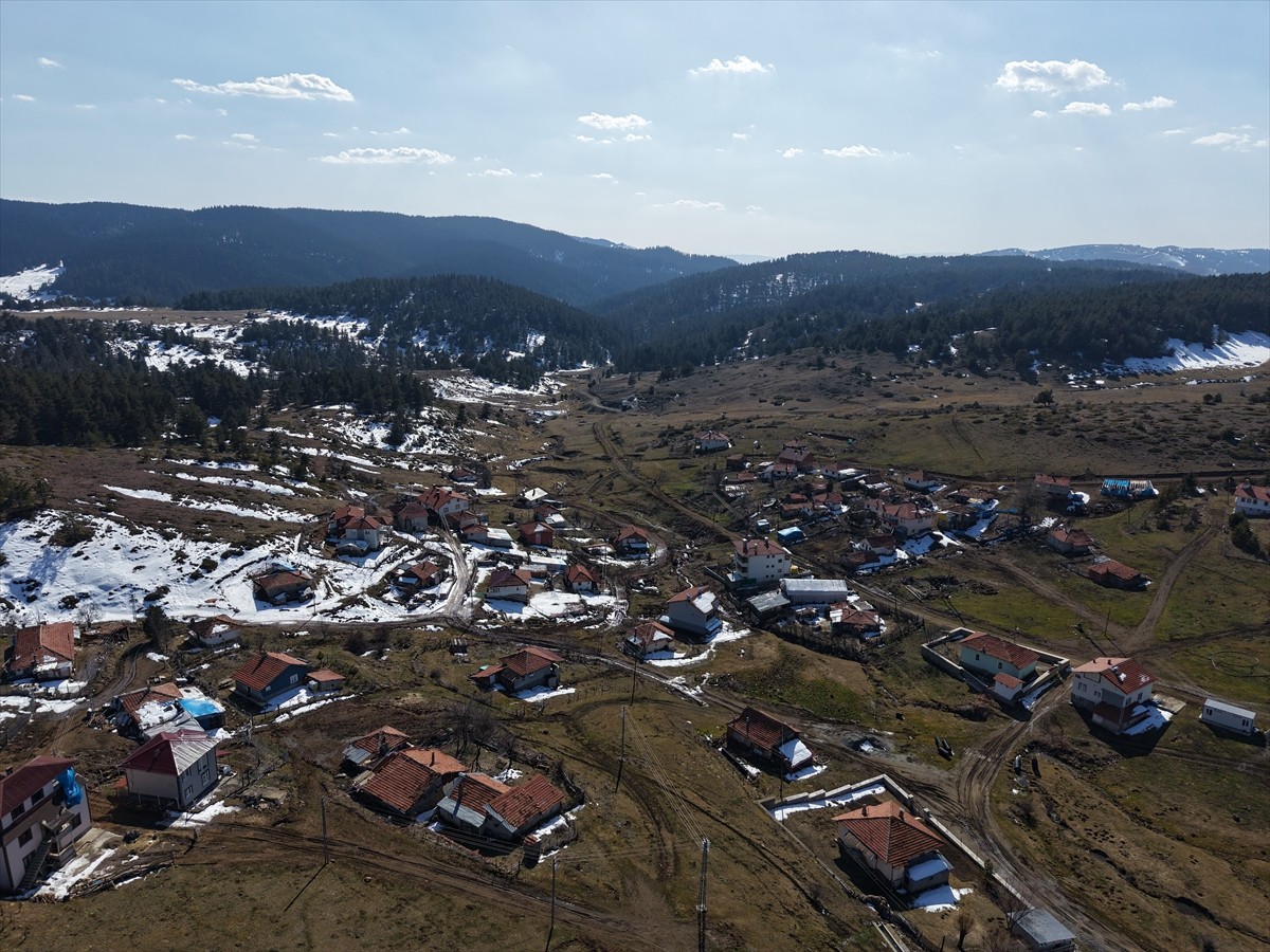 Çankırı'nın Yapraklı ilçesinde, baharın müjdecisi olarak bilinen çiğdemler çiçek açtı. Ana yurdu...