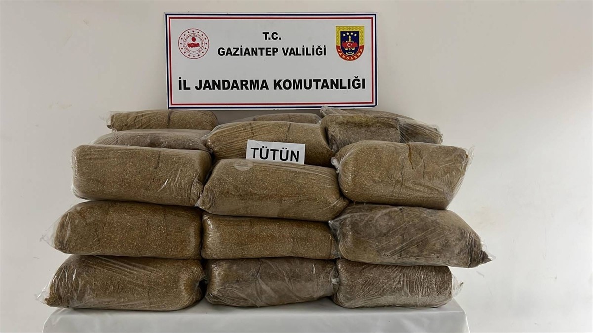 Gaziantep'te gerçekleştirilen kaçakçılık operasyonunda 38 kişi yakalandı. Şüphelilere yönelik...