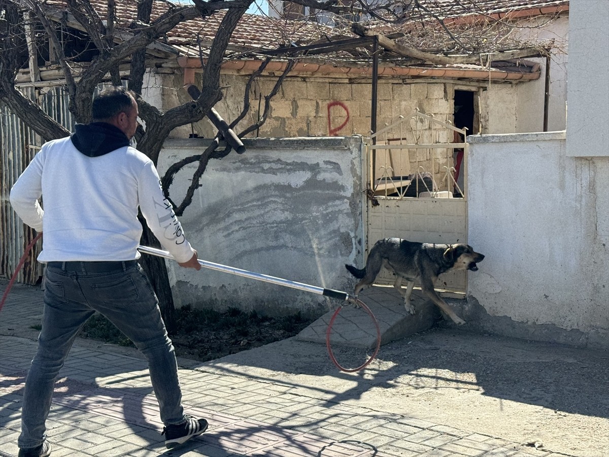 Karaman'da sahipli köpeğin saldırısından oğlunu korumak isteyen baba yaralandı. Olayın ardından...