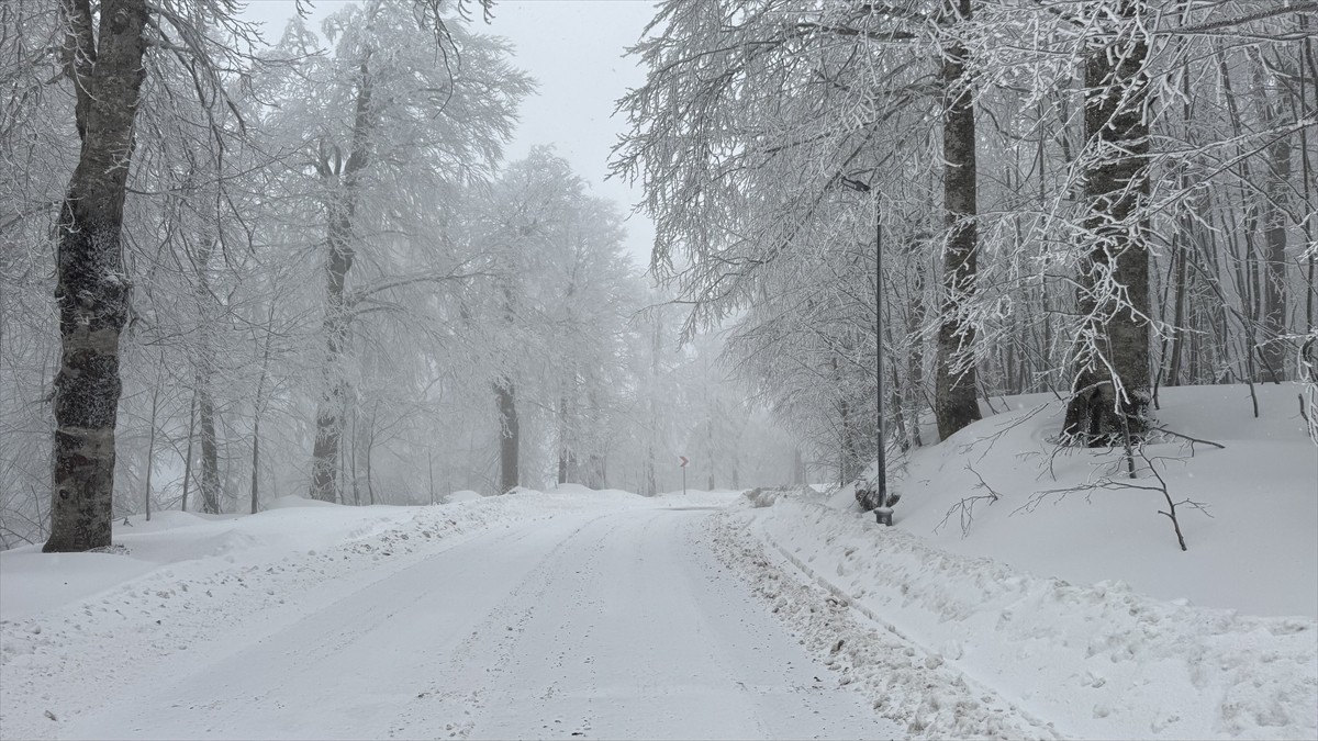 Kocaeli'nin yüksek kesimlerinde dün başlayan kar yağışı, zaman zaman etkisini artırarak devam...