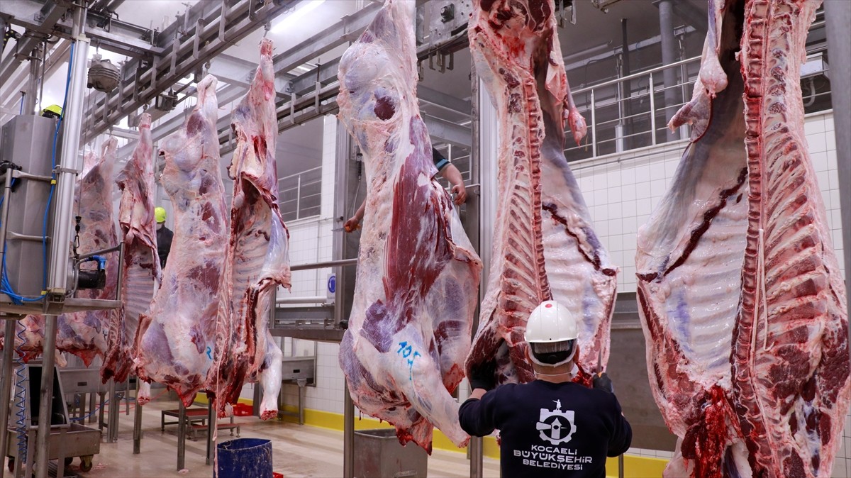 Kocaeli Büyükşehir Belediyesine bağlı İzmit Mezbahası'nda çalışanlar, ramazan ayında artan talebe...
