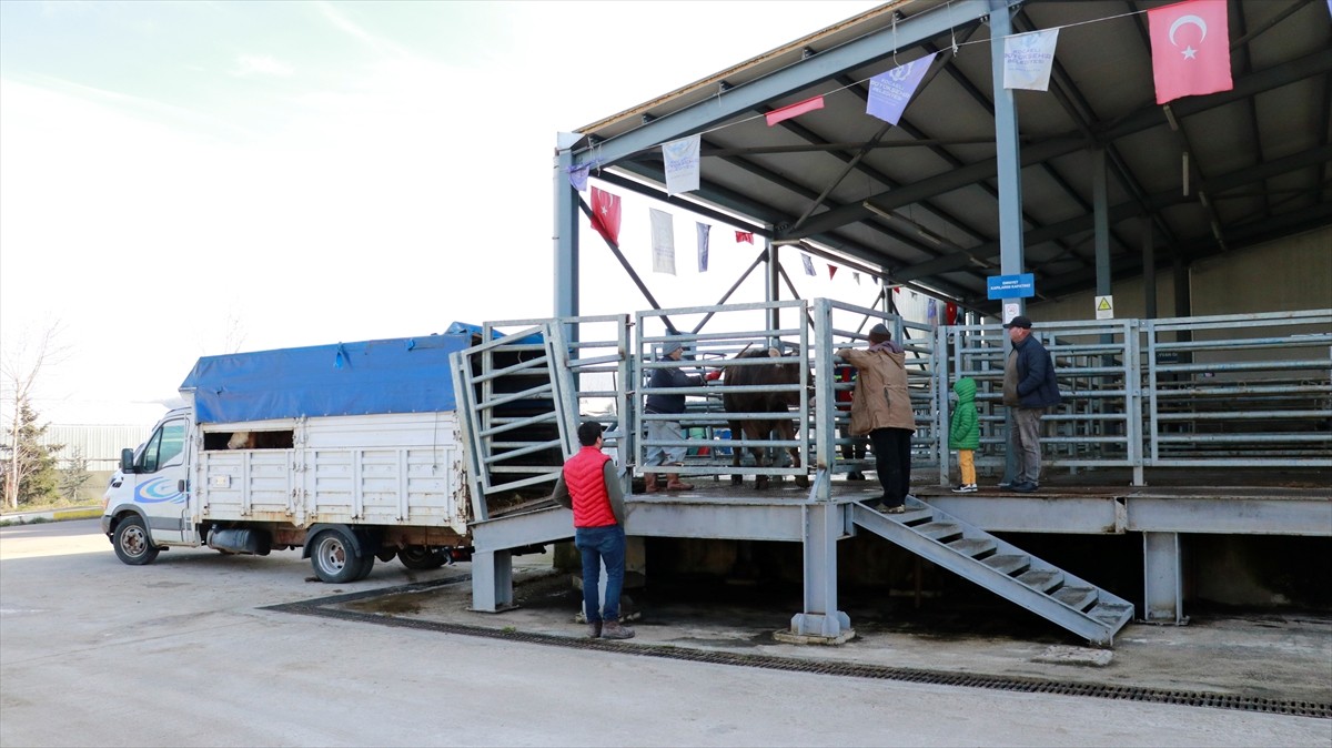 Kocaeli Büyükşehir Belediyesine bağlı İzmit Mezbahası'nda çalışanlar, ramazan ayında artan talebe...