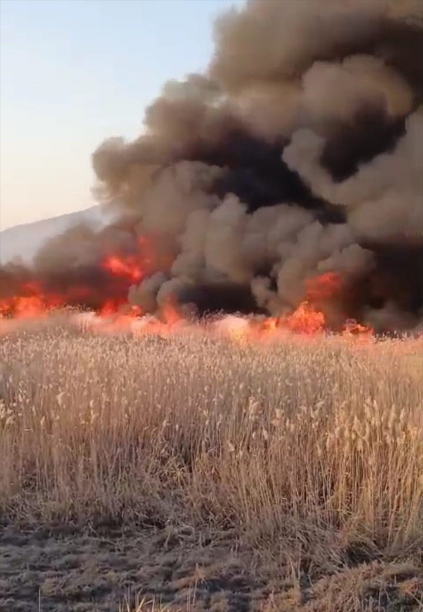 Malatya'nın Kale ilçesinde sazlık alanda çıkan yangın söndürüldü.