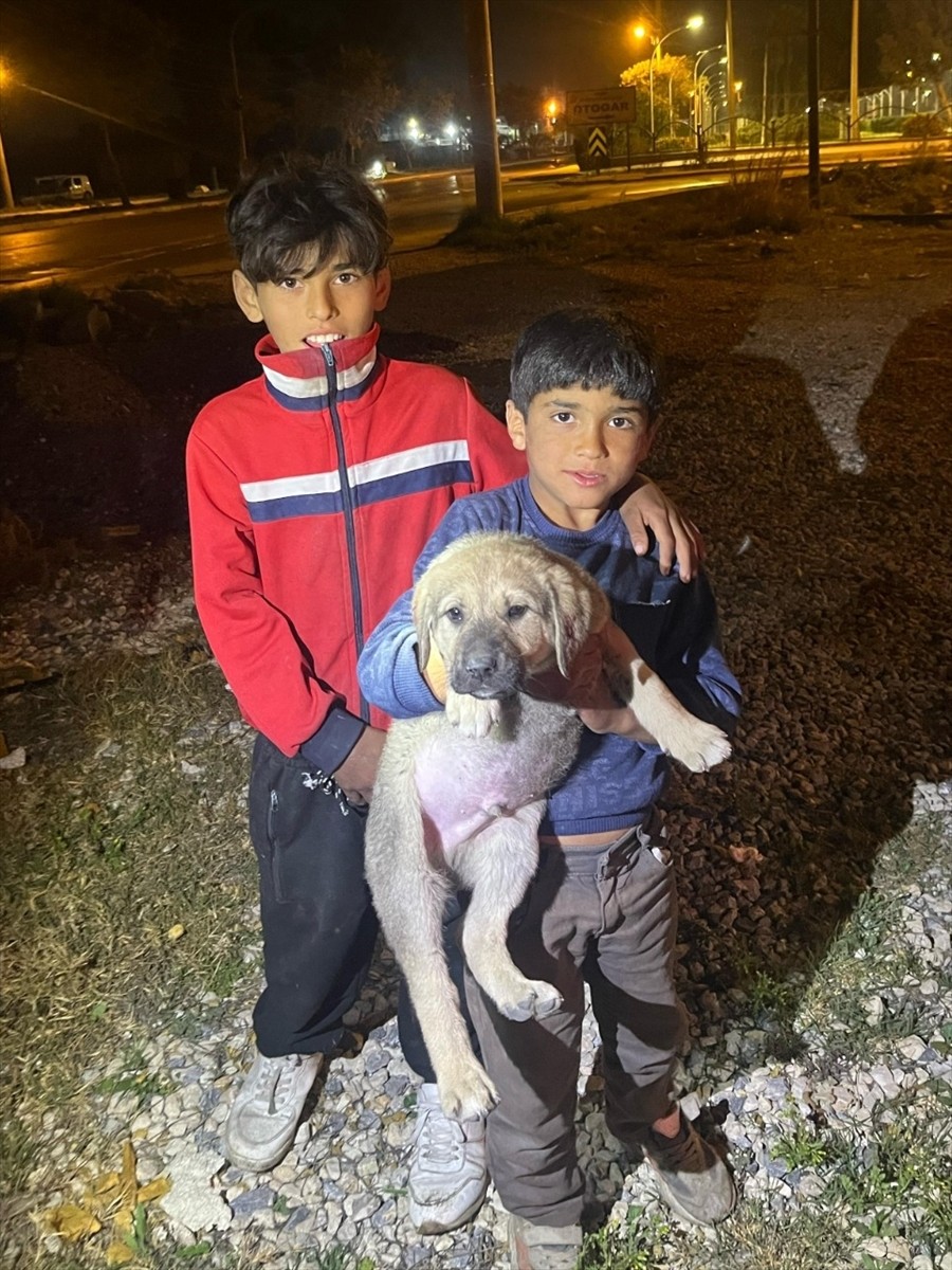 Mersin'in Tarsus ilçesinde, içi boş su kuyusuna düşen köpek yavrusu itfaiye ekiplerince...