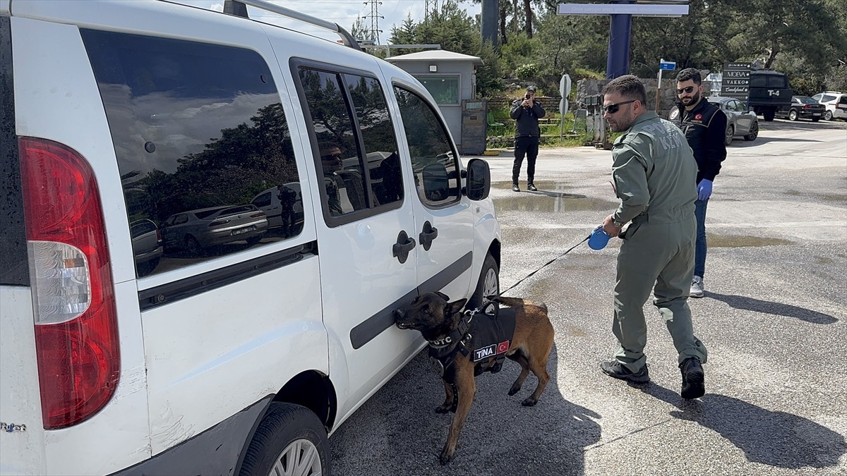 Muğla'nın Bodrum ilçesinde Ramazan Bayramı tatili dolayısıyla polis ekipleri denetimlerini...