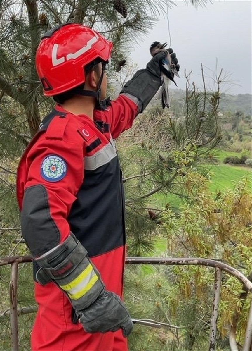 Muğla'nın Seydikemer ilçesinde ayağına ip dolanan alakarga, itfaiye ekibince kurtarıldı. Kuş daha...
