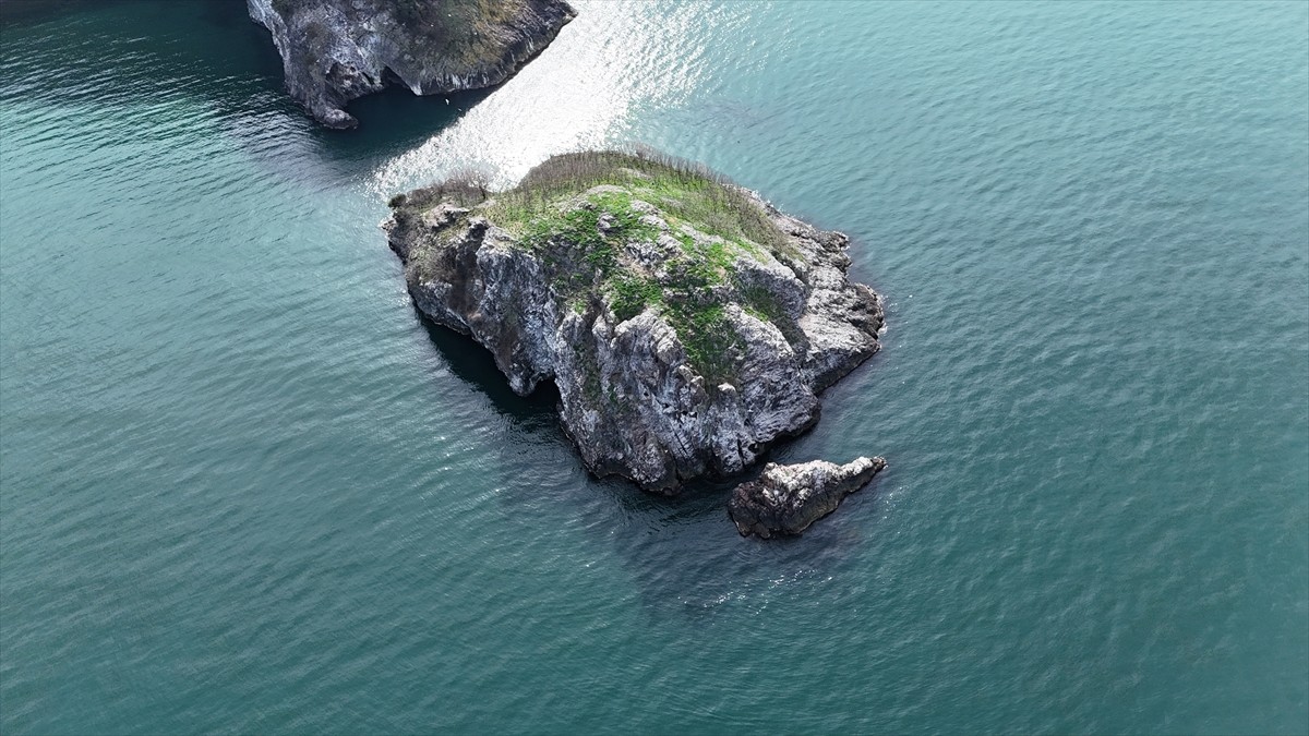 Ordu'nun "Sakin Şehir" ünvanlı Perşembe ilçesindeki Hoynat Adası, turizme kazandırılmasına yönelik...