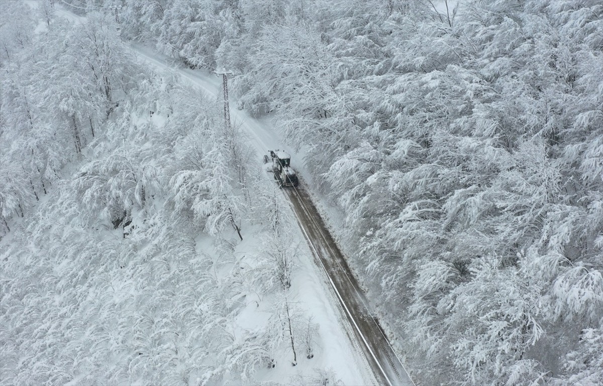 Ordu'nun yüksek kesimlerinde kar etkili oldu. Ekipler, iş makineleriyle karla mücadele...