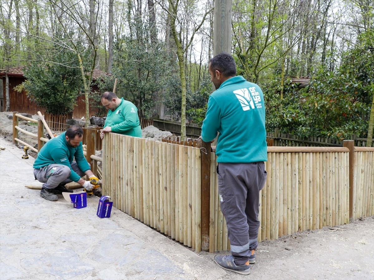 Ramazan Bayramı tatilinde doğayla iç içe olmak isteyenler, Kocaeli'deki doğal yaşam parkı...