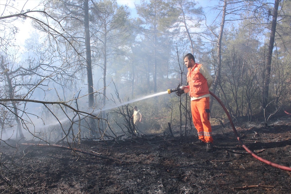 Sakarya'nın Taraklı ilçesinde ormanlık alanda çıkan yangın söndürüldü.