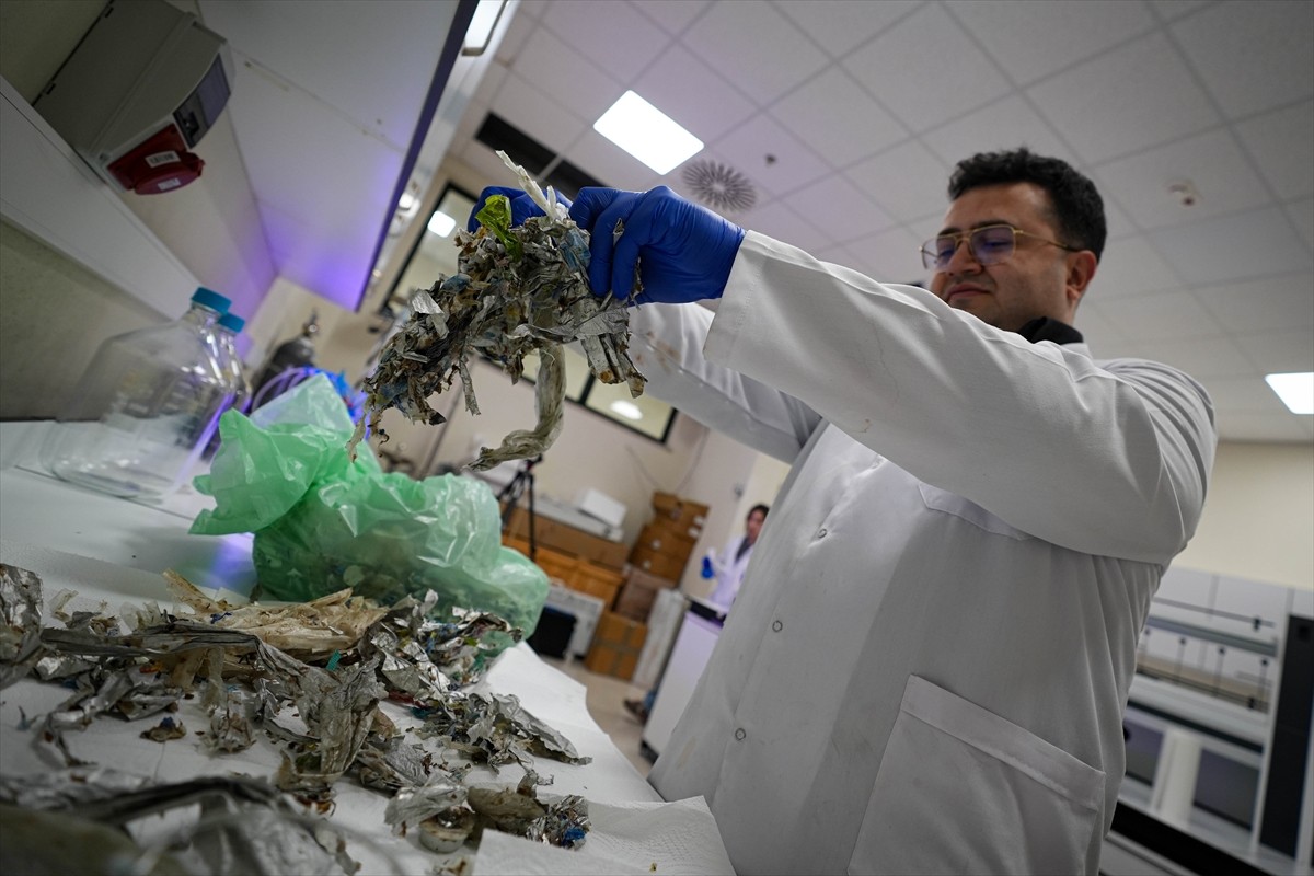 Sanayi ve Teknoloji, Çevre, Şehircilik ve İklim Değişikliği, Enerji ve Tabii Kaynaklar...