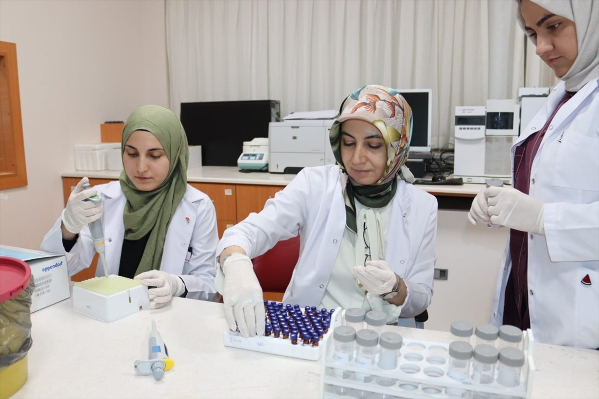 Selçuk Üniversitesi (SÜ) Tıp Fakültesi Biyokimya Ana Bilim Dalı Öğretim Üyesi Prof. Dr. Fatma...