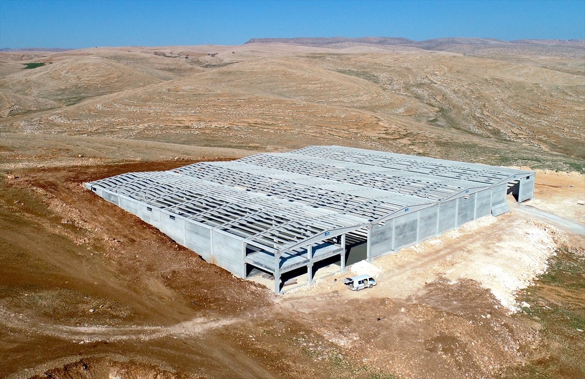 Teşvik uygulaması, coğrafi konumu, tesis edilen huzur ortamı ve genç nüfus oranının yüksek olması...