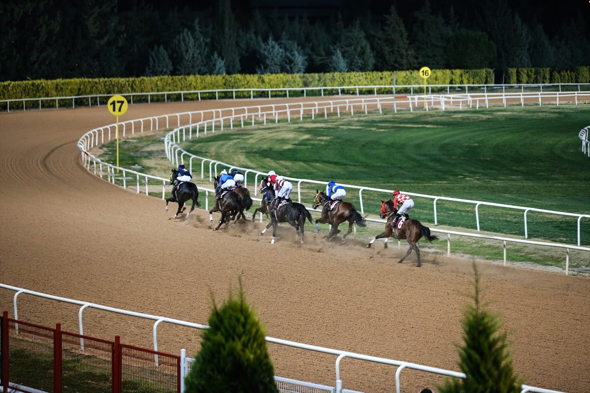 Türkiye Jokey Kulübünce (TJK) Adana'da düzenlenen "Özgecan Aslan-Kadına Şiddete Hayır Koşusu"nda...