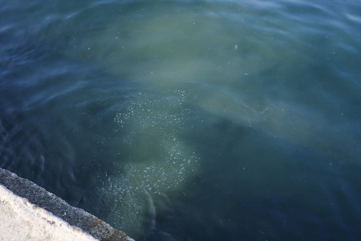 Üsküdar Çengelköy Mahallesi Kuleli Caddesi'ndeki sahil şeridinde kanalizasyondan geldiği...