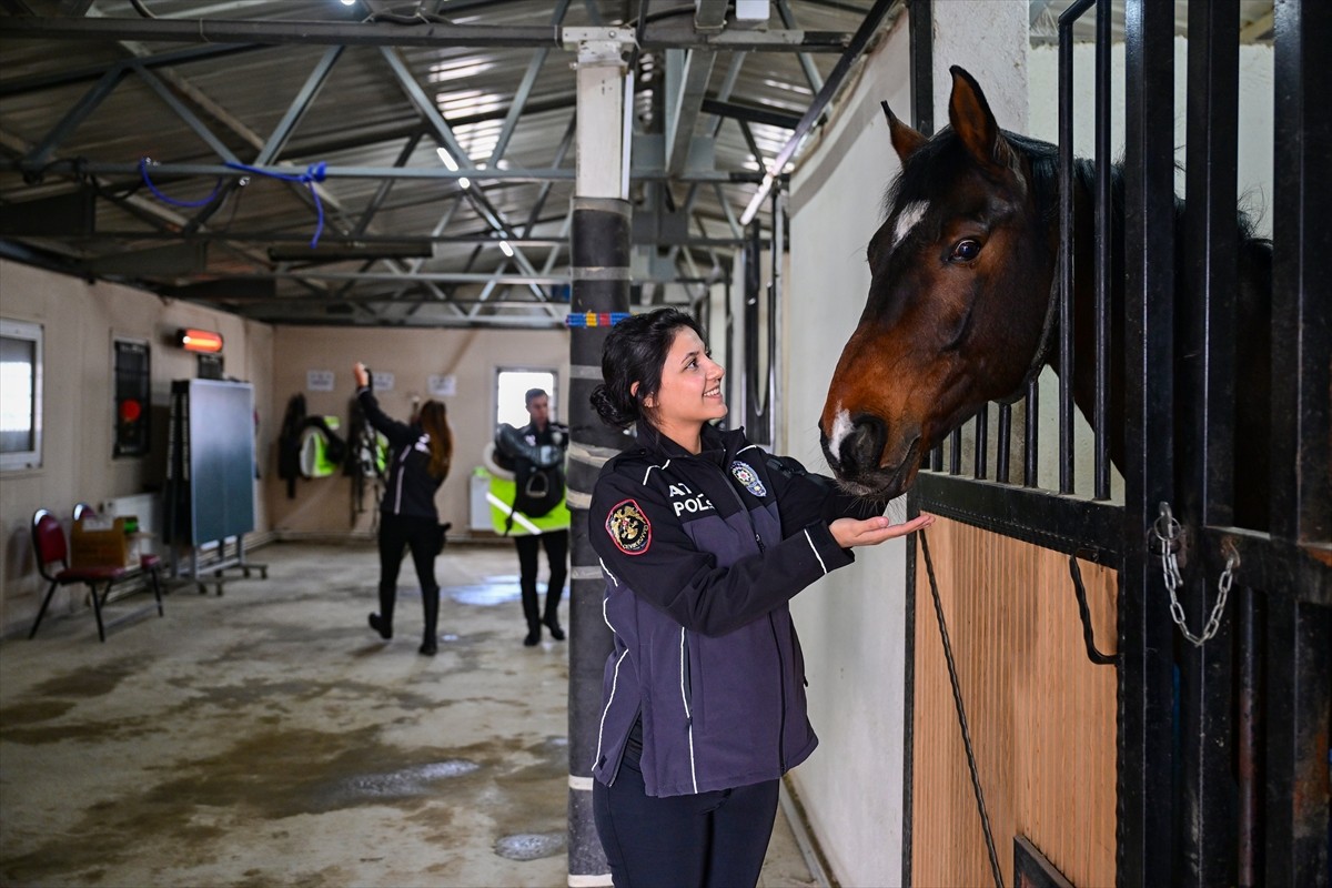 Van Emniyet Müdürlüğü Çevik Kuvvet Şubesine bağlı Atlı Polis Grup Amirliğinde görevli kadın...