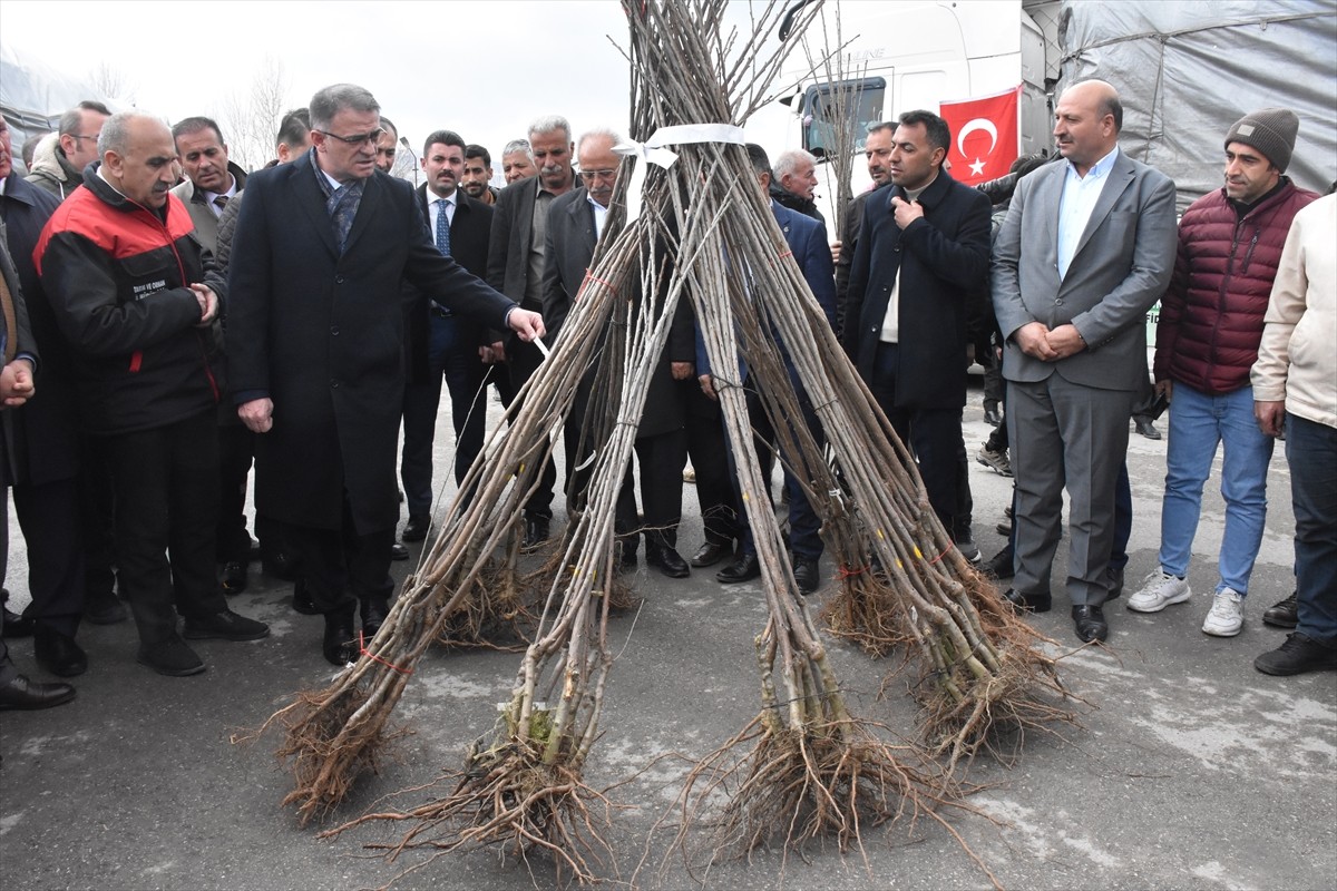 Van Valiliği ile Tarım ve Orman İl Müdürlüğünce yürütülen "Van Meyvecilik Projesi-3" kapsamında...