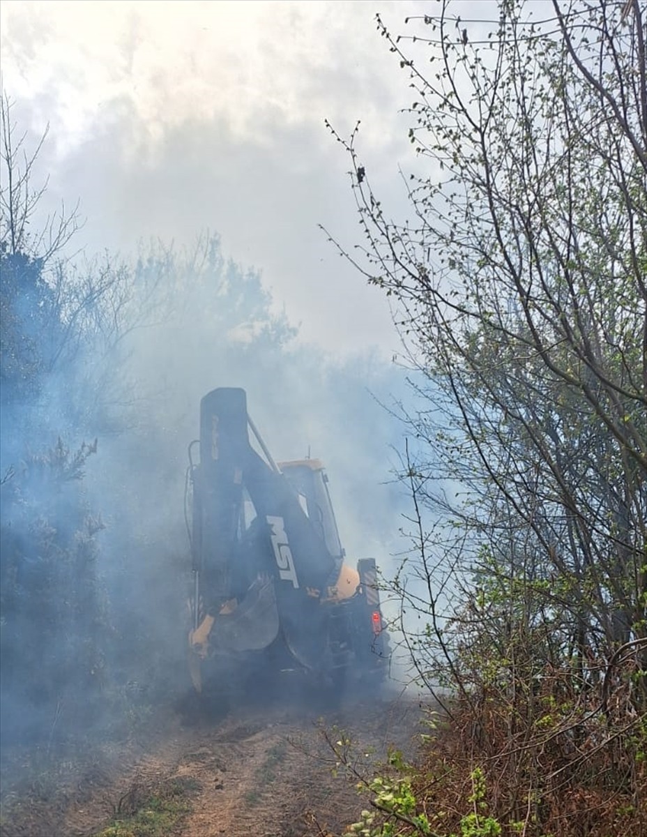 Yalova'nın Çınarcık ilçesine bağlı Şenköy köyünde, ormanlık alanda henüz bilinmeyen nedenle çıkan...