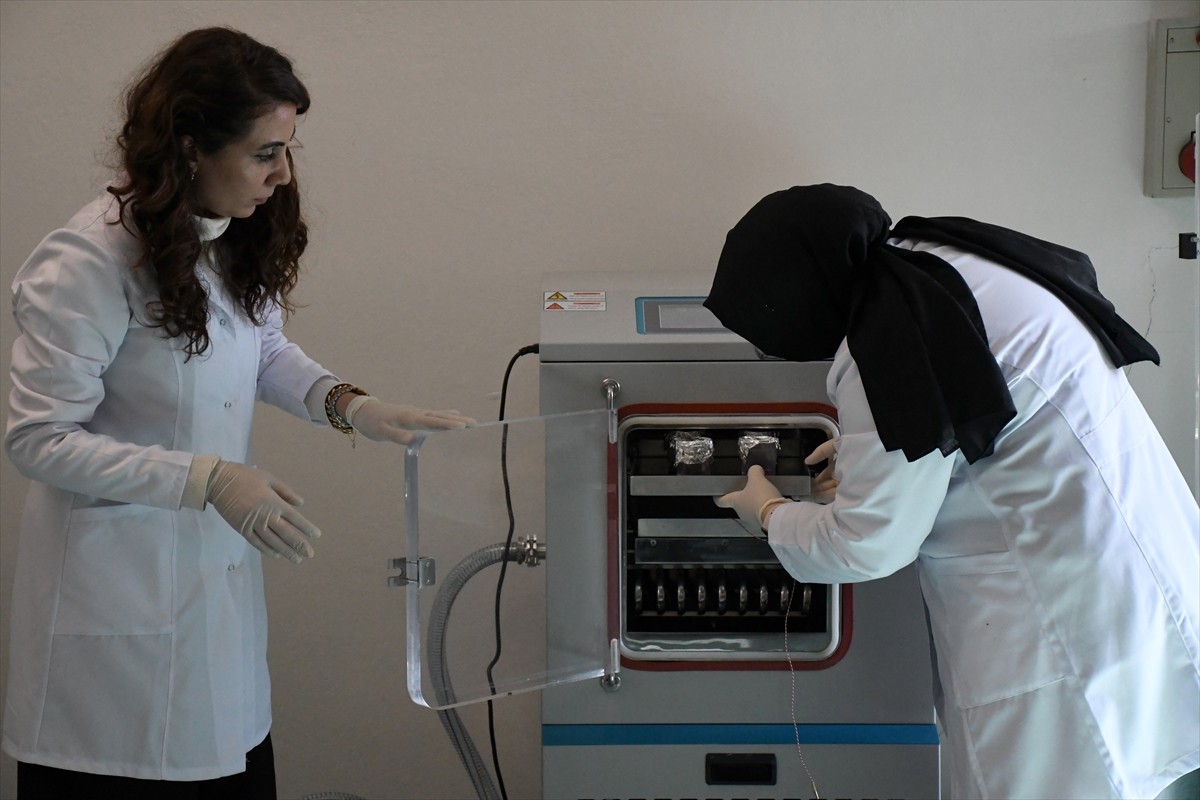 Yükseköğretim Kurulunun (YÖK) 25 devlet üniversitesinin bulundukları bölgenin dinamiklerine...