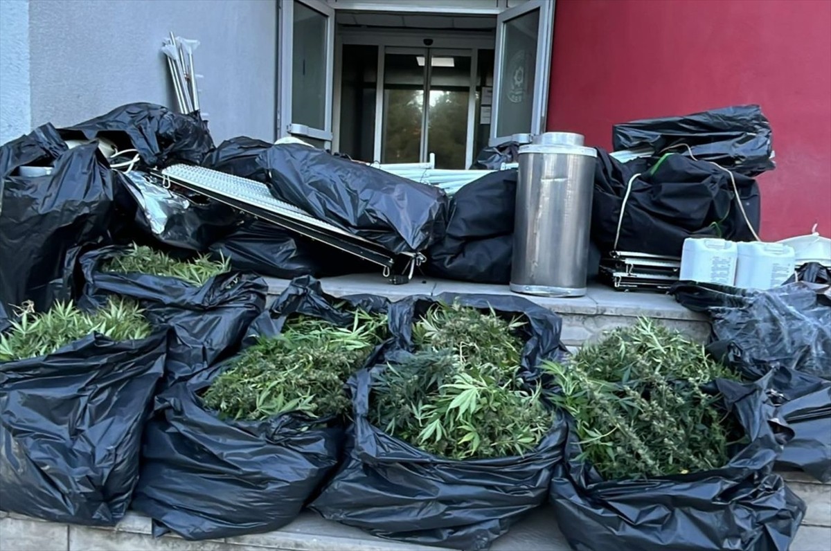 Adana'da evinde iklimlendirme sistemiyle Hint keneviri yetiştiren şüpheli gözaltına alındı....