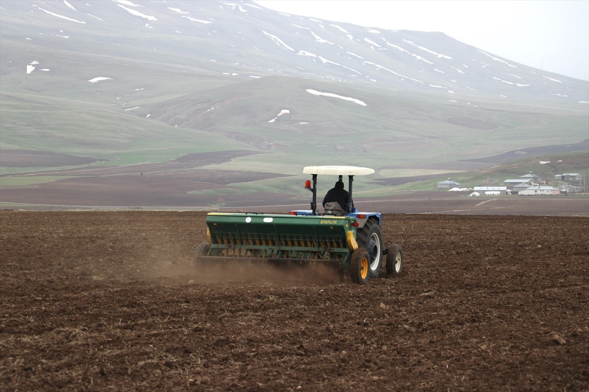 Ağrı'da geniş alana yayılan verimli ovadaki tarlalarda çiftçilerin arpa ve buğday tohumu ekim...
