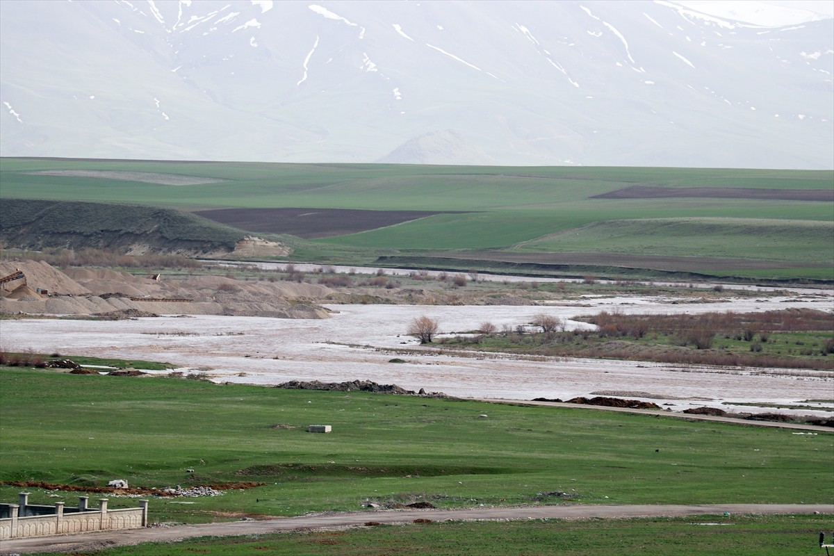 Ağrı'da sağanak nedeniyle Murat Nehri'nin taşması sonucu tarım arazileri zarar gördü.  Taşkında...