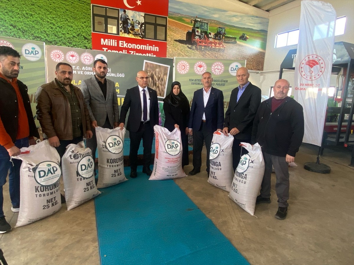 Ağrı'da tarımda çeşitliliğin artırılması amacıyla yüzde 70 hibeyle 525 çiftçiye 120 ton tohum...