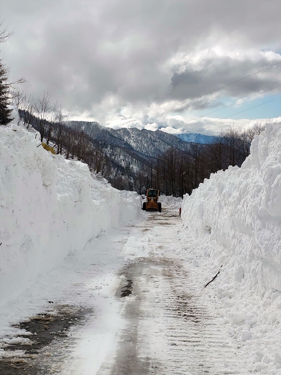Artvin'in Borçka ilçesinde meydana gelen çığ nedeniyle kapanan 6 köy yolu ulaşıma açıldı.