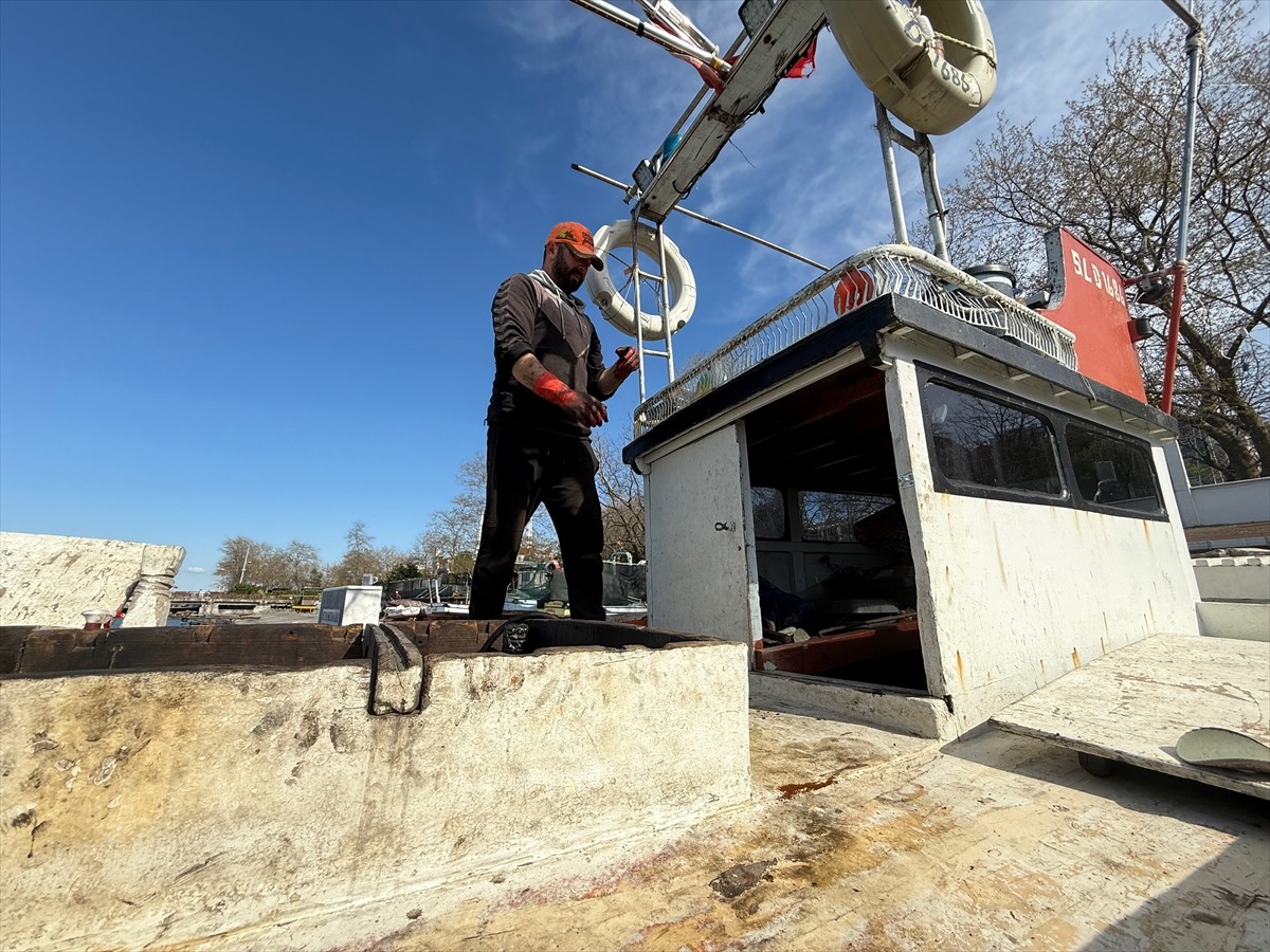 Batı Karadeniz'in önemli limanlarından Düzce Akçakoca'da bereketli bir sezon geçiren balıkçılar...