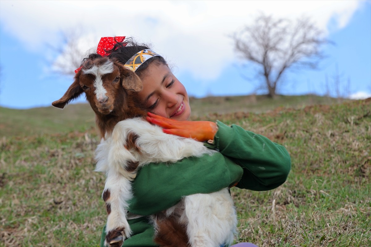 Çetin geçen kışın ardından havanın ısındığı Hakkari'de besiciler, yeni doğan ve ilkbaharın...