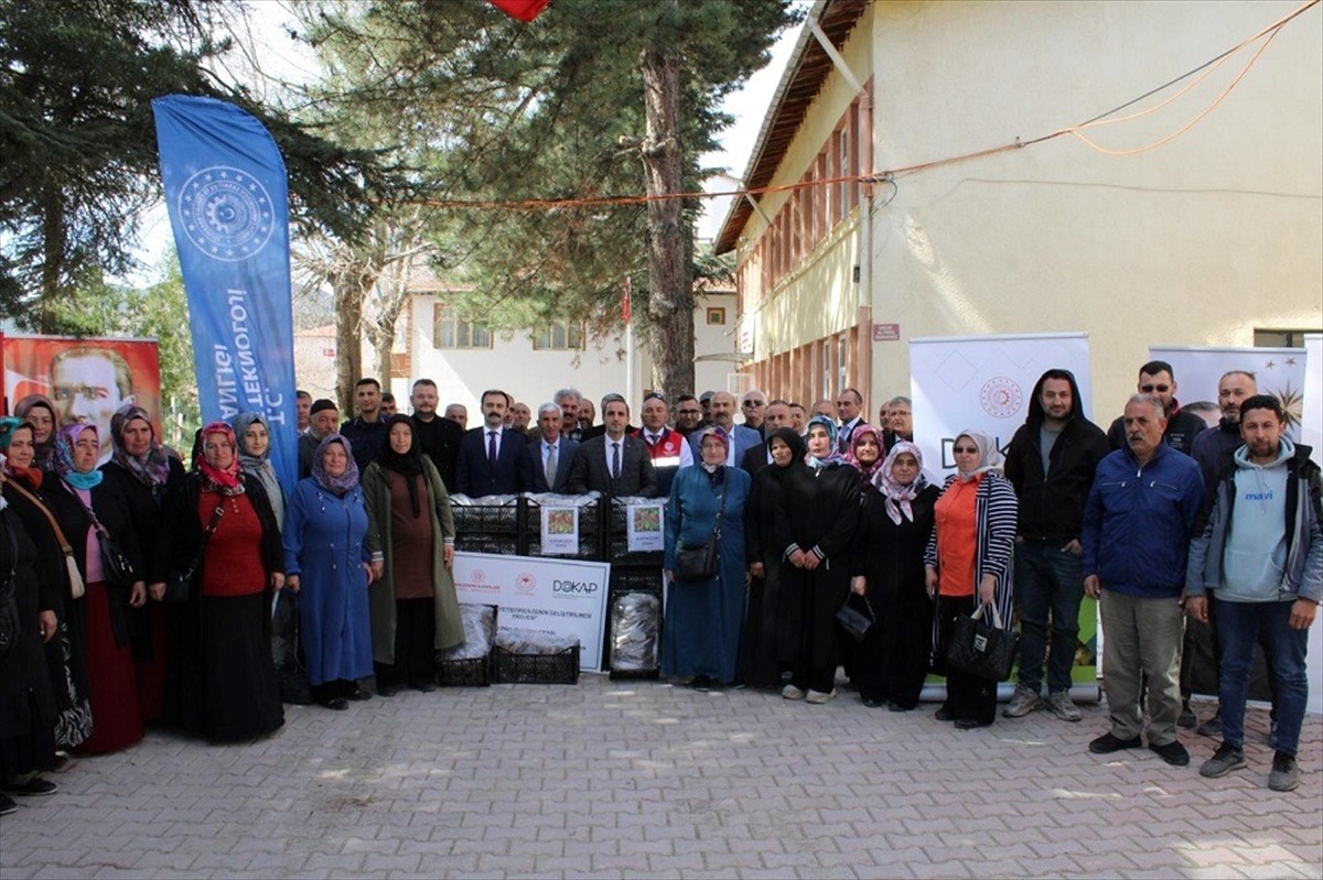 Çorum'un İskilip ilçesinde üreticilere yüzde 70 hibe desteğiyle 140 bin çilek fidesi dağıtıldı....