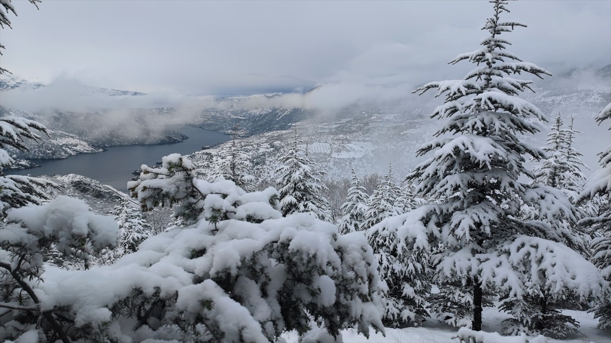 Çorum'un Oğuzlar ilçesindeki Obruk Barajı Gölü ve çevresini kaplayan ormanlık alan karla...