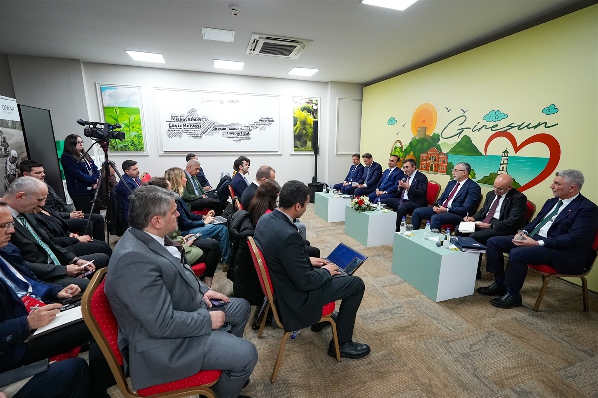 Cumhurbaşkanı Yardımcısı Cevdet Yılmaz (ortada), Doğu Karadeniz Projesi (DOKAP) Eylem Planı...