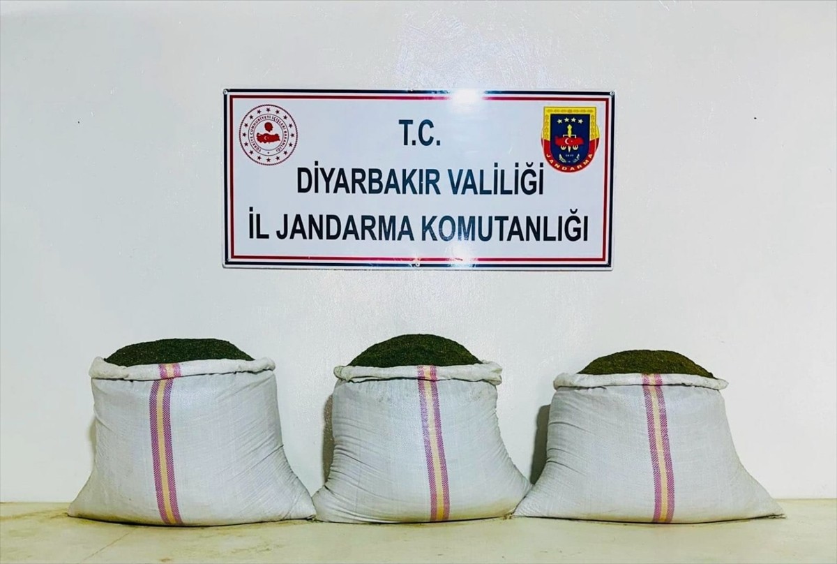 Diyarbakır'ın Lice ilçesinde düzenlenen operasyonda 18 bin 246 kök Hint keneviri ile 81 kilo 800...