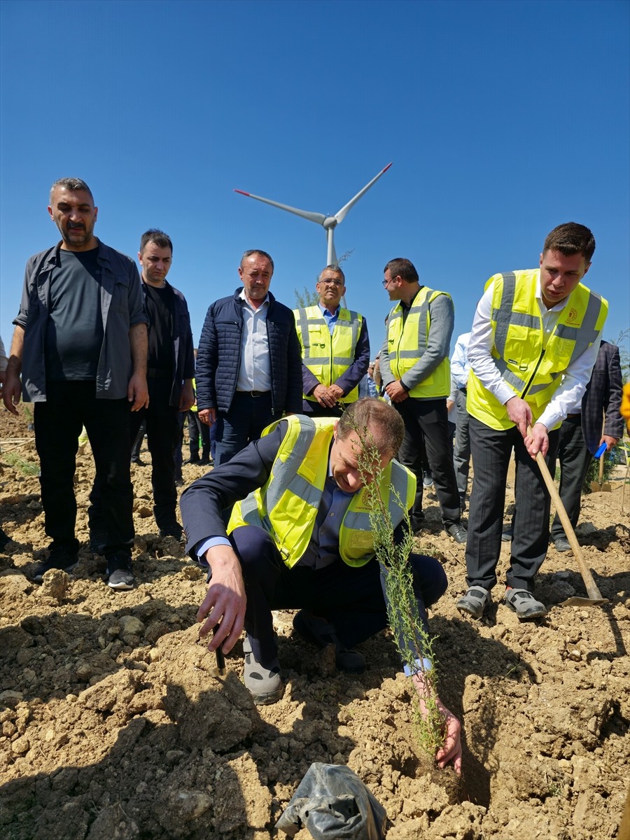 Enerji ve Tabii Kaynaklar Bakanlığı, Çanakkale'de geçen yıl orman yangını nedeniyle zarar gören...