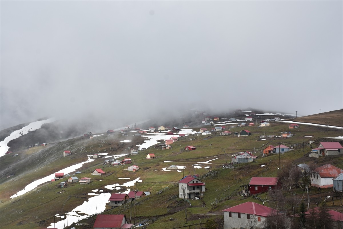 Gümüşhane'de doğal güzellikleri ve bitki örtüsüyle ön plana çıkan yaylalara doğaseverler hafta...