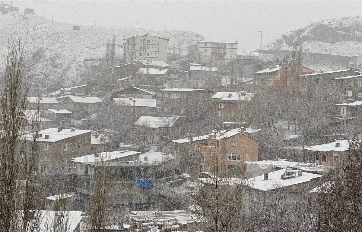 Hakkari'de kar ve sis etkili oldu.
