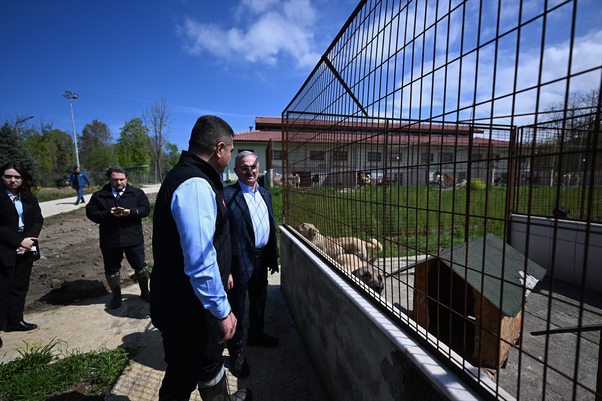 İçişleri Bakan Yardımcısı Münir Karaloğlu (sol 4), Düzce Belediyesi Sokak Hayvanları...