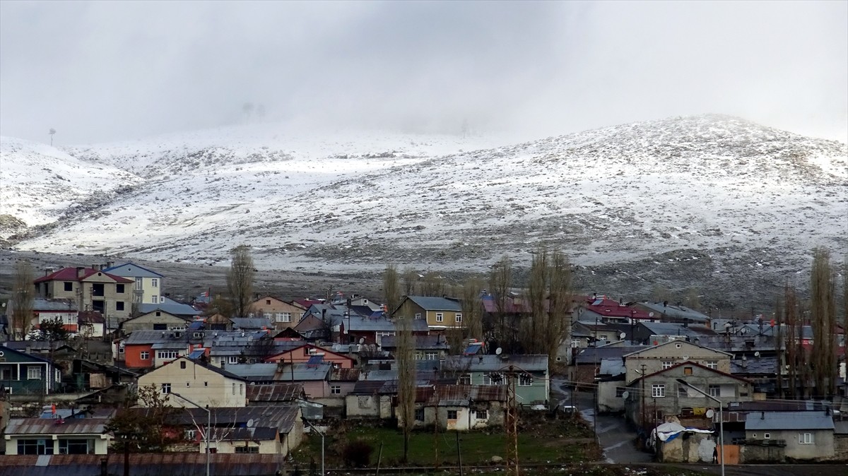 Kars'ın Sarıkamış ilçesini çevreleyen sarıçam ormanları, yağan karla beyaza büründü. 