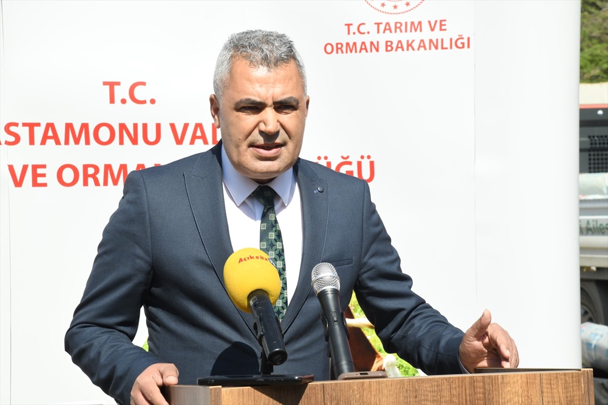 Kastamonu'da, Tarım ve Orman Müdürlüğünün "Sera örtüsü ile sebzeler her dem yeşil" projesi...
