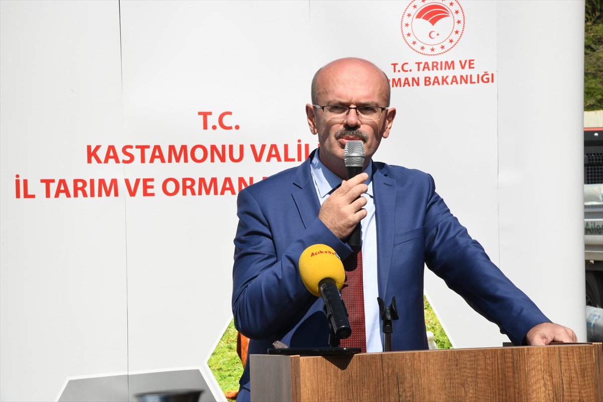 Kastamonu'da, Tarım ve Orman Müdürlüğünün "Sera örtüsü ile sebzeler her dem yeşil" projesi...