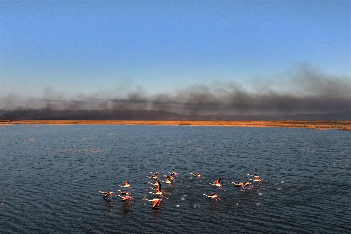 Kayseri'de "kesin korunacak hassas alan" ilan edilen Sultan Sazlığı Milli Parkı'nda yangın çıktı....
