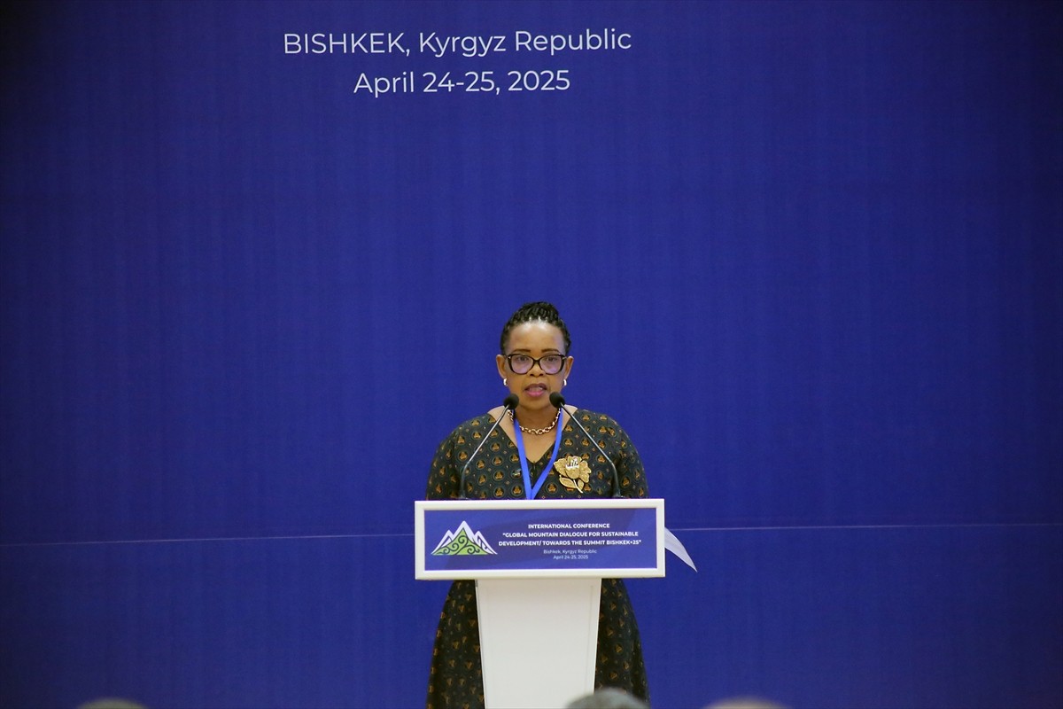 Kırgızistan'ın başkenti Bişkek'te iklim krizi ile buzullardaki erimenin ele alındığı...