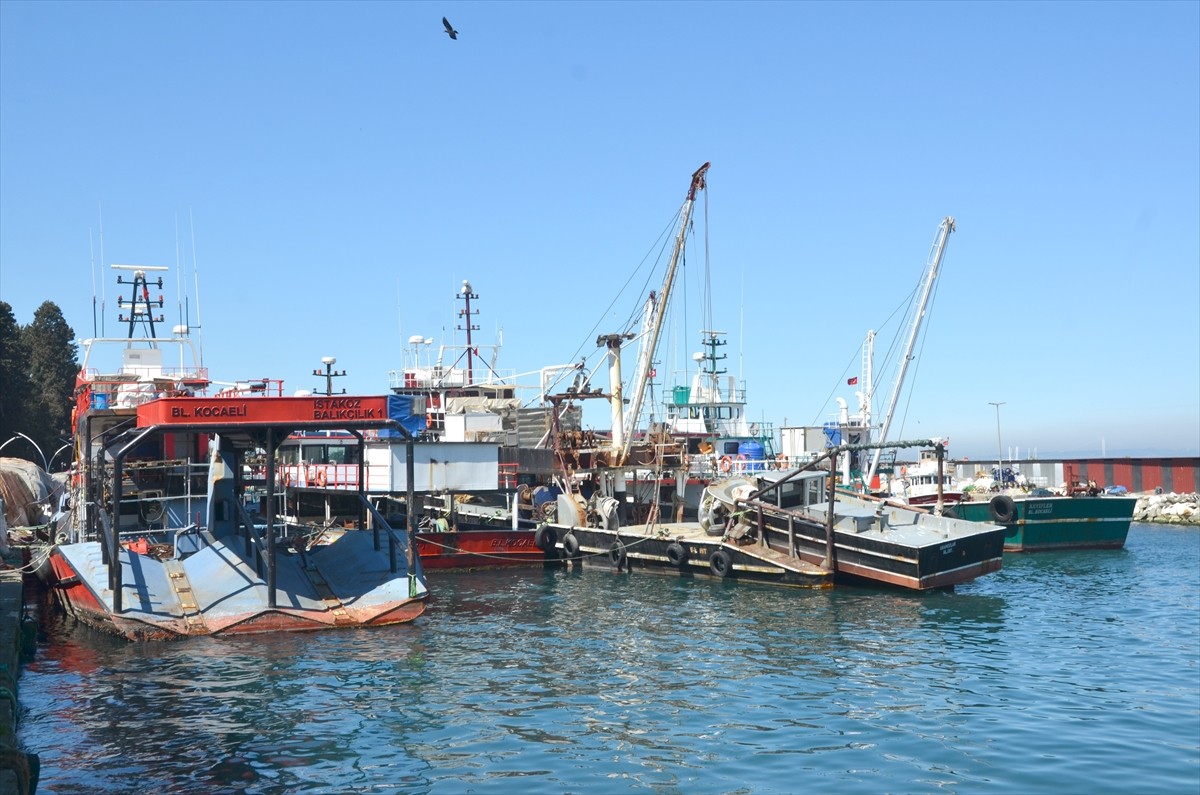 Kocaeli'de balıkçılar, denizlerde av yasağının başlamasıyla tekne ve ağlarını onarmaya...