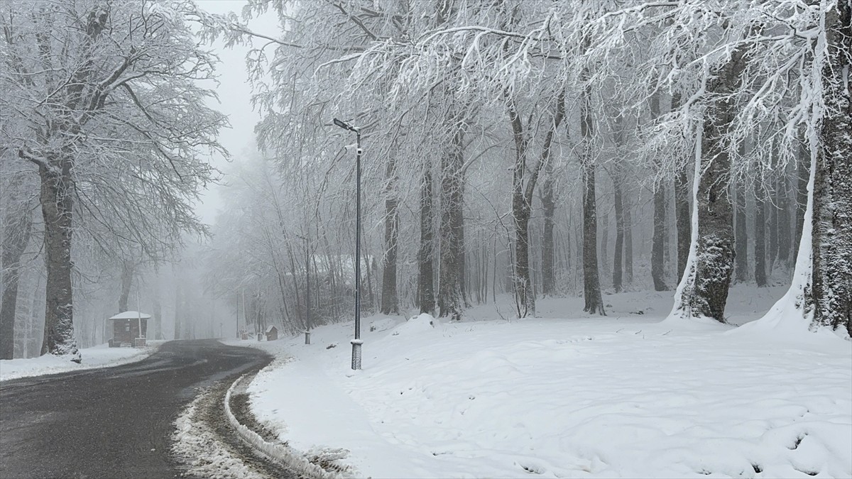 Kocaeli'nin yüksek kesimlerinde etkili olan kar yağışının ardından Kuzuyayla Tabiat Parkı beyaz...